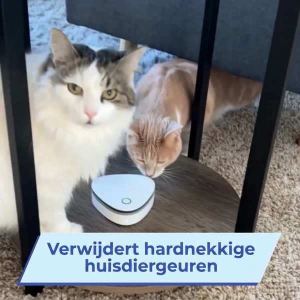 AirReset™ | Verwijdert rook-, huisdier- en kookgeuren in één druk op de knop.